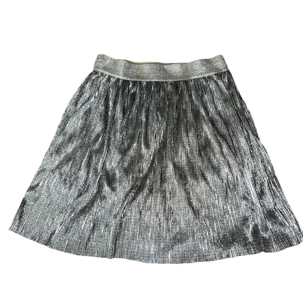 Shiny Silver Skirt